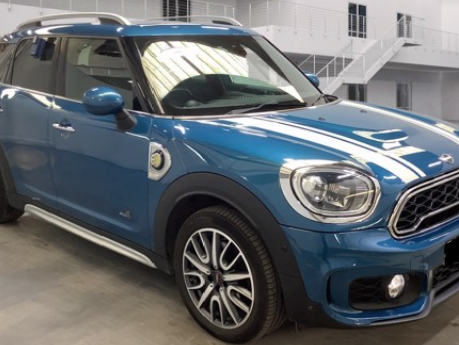 Mini Designer Hybrid-#38932