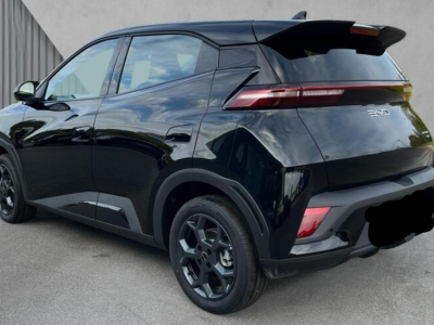  BYD BYD Dolphin Surf Boost 43.2 kWh