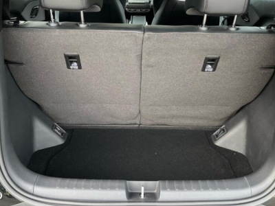  BYD BYD Dolphin Surf Boost 43.2 kWh