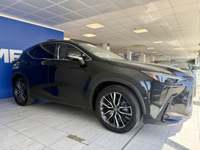 Lexus NX450H+ 2.5 4WD TAKUMI PHEV